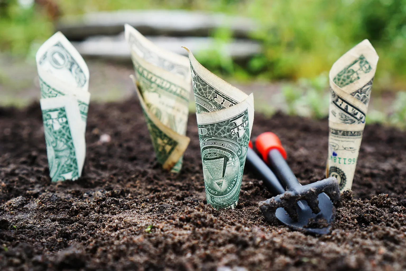Which high-yield savings accounts have no monthly fees?